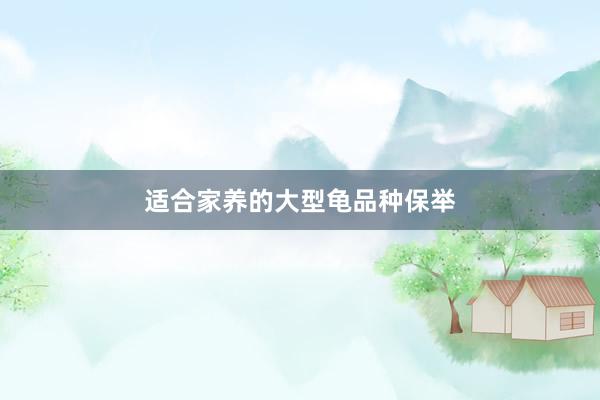 适合家养的大型龟品种保举