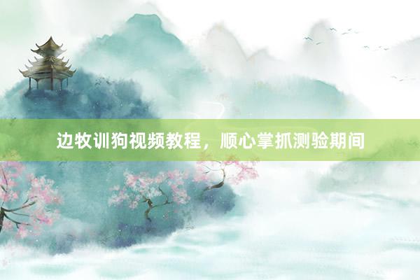 边牧训狗视频教程，顺心掌抓测验期间